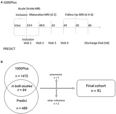 IL-6 Plasma Levels Correlate With Cerebral Perfusion Deficits and Infarct Sizes in Stroke Patients Without Associated Infections